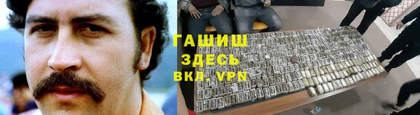 индика Алзамай