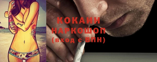 индика Рославль