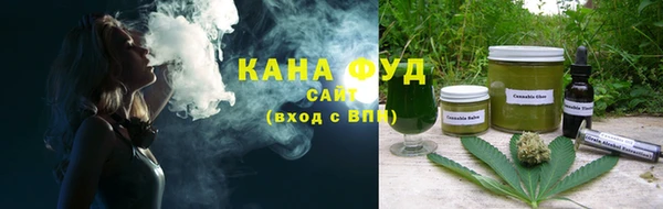 индика Алзамай