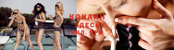 индика Алзамай