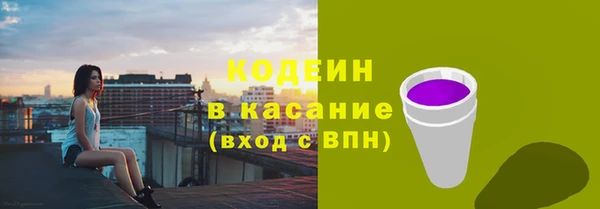 индика Алзамай