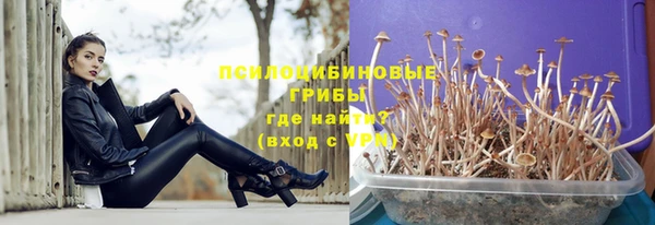 индика Алзамай