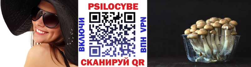 Галлюциногенные грибы GOLDEN TEACHER  сайты даркнета как зайти  Льгов 
